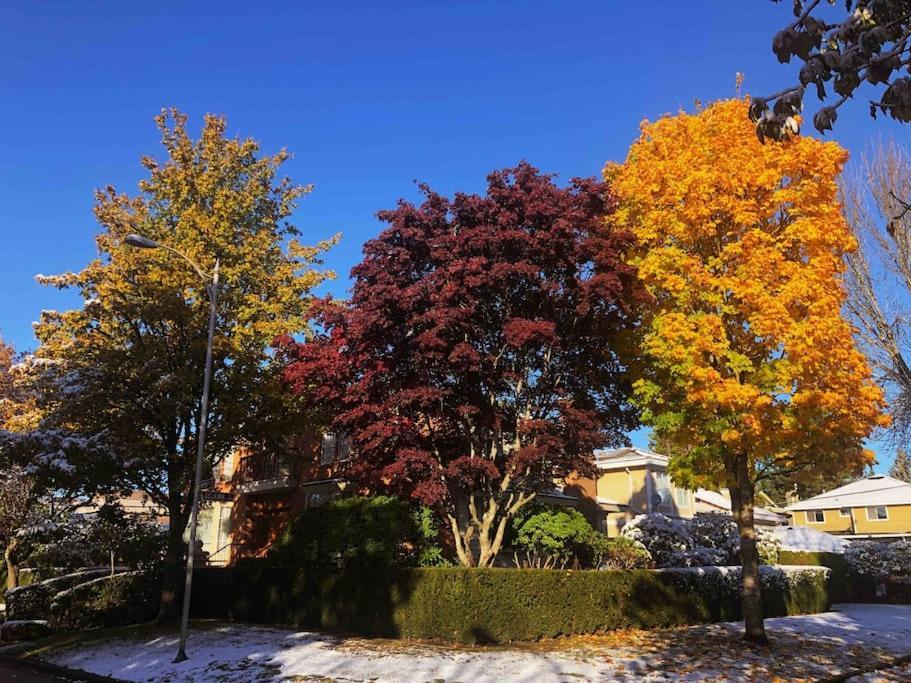 Super Cosy 8Bed & 6Bath In Vancouver Heart Near To Airport And Downtown Dış mekan fotoğraf